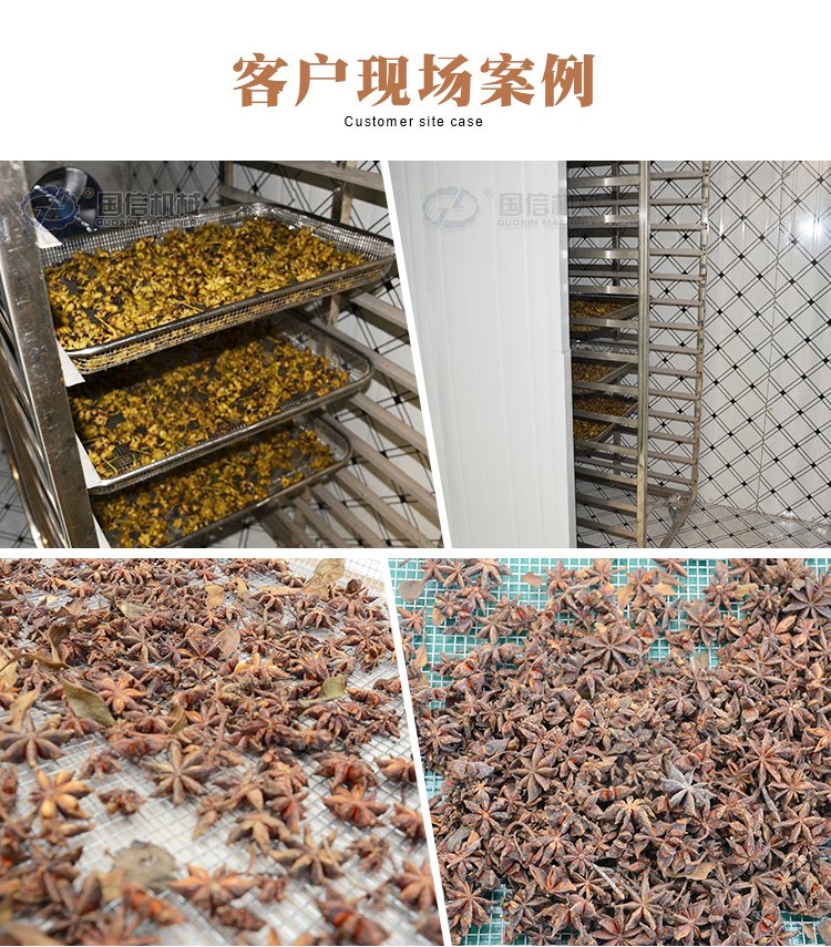 國信八角烘干機(jī) 茴香干燥、中藥材脫水的全自動化解決方案